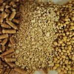 Supply Beef Meat And Bone Meal 65% Animal Feed Food