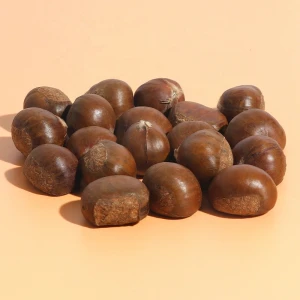 Sweet And Easy Peeling Chinese Fresh Chestnut Wholesale Price