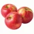 Import Sweet Fresh Fuji Apple available now for exportation from South Africa