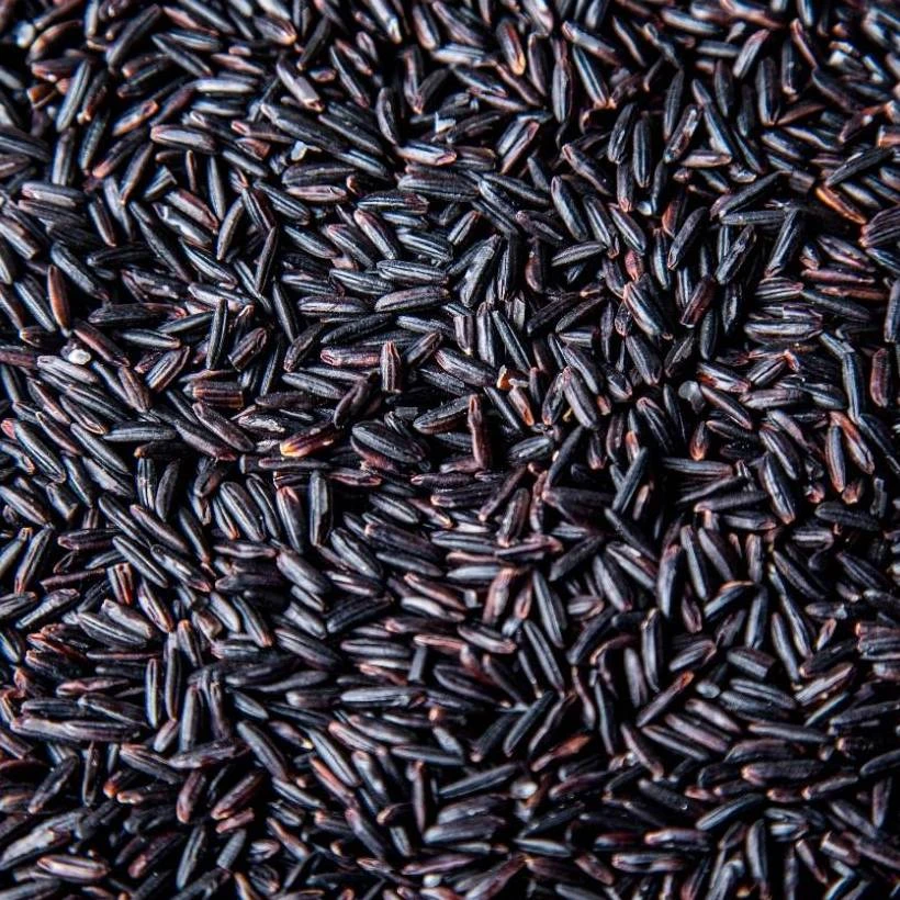 Tasty rarest black rice long-grain good price for USA, EU, Saudi Arabia, Indonesia, Japan