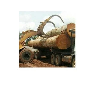 Teak Wood and Tali Wood, Padouk, Pine, Boxwood, Azobe Wood, Timber Logs Available For Sale