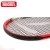 Import Teloon tennis racket OEM brand  compound carbon cocah for beginner from China