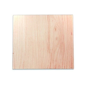 Tempered Glass Cutting Board Panel Manufacturer-supplier China