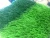 Import Tennis Court and Football Artificial Grass,Landscape Synthetic Grass,Sports Artificial Turf from China