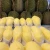 Import THAILAND FRESH DURIAN MONTHONG from Thailand