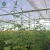 Import The cheapest Hot Sale Sainpoly Large Size Multi-Span Arch Agricultural Plastic Film Greenhouse from China