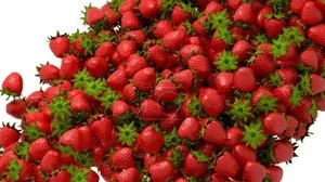 Top Grade Fresh Strawberry, Frozen Strawberry, Berries Fresh Berries Fruits Supplier