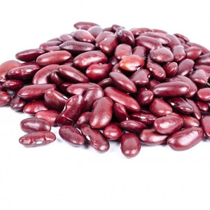 Top Quality Dried  Kidney Beans for sale