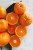 Import Top Quality Fresh Mandarin Egypt Origin Tangerine Wholesale Sweet Citrus Fruits New Crop OEM Private Label Fast Shipping from Egypt