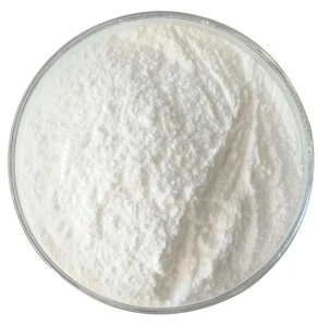 Top Quality nootropics powder Fasoracetam 110958-19-5