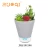Import Ultrasonic 200ML  aroma humidifier with plant from China