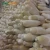 Import Unspotted limited chemical fertilizer bulk iqf cut horse fresh radish from China