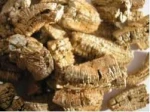 Vermiculite