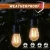 Import Waterproof Outdoor 48FT String Lights E26 E27 S14 G40 LED filament Bulb Christmas led garden lights from China