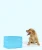 Import Waterproof Puppy Underpad Pet Mat Diaper Dog Pee Training Pad from China