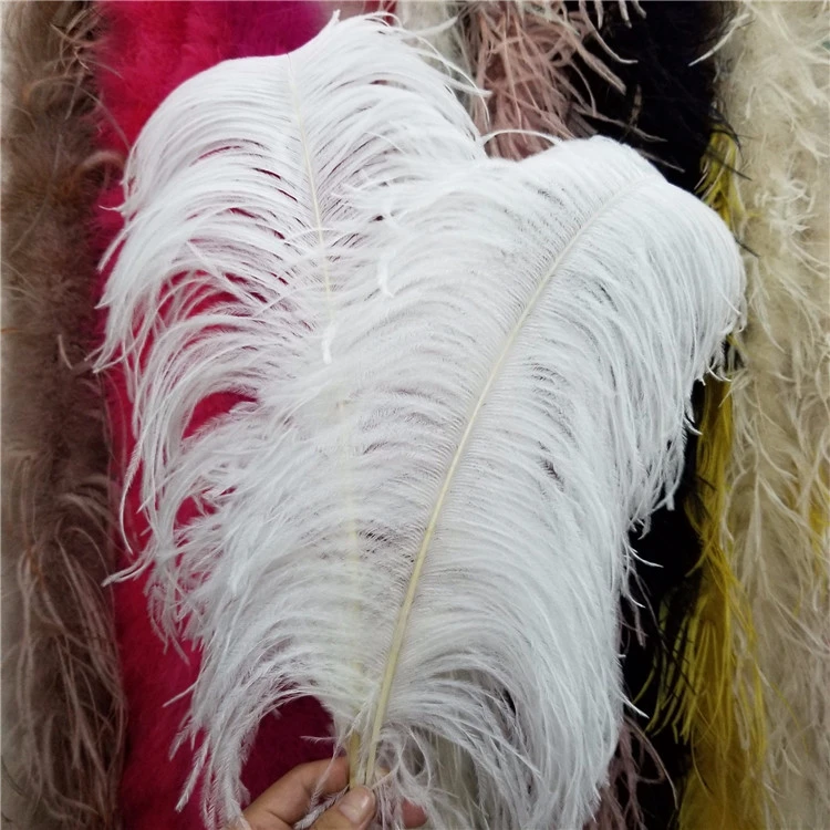 Wedding Home Party Decorative Ostrich Feather Peacock Feather