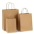 Import White And Brown Kraft Paper Twisted Handle Shopping Carrier Bag With Logo Printed from Pakistan