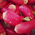 White and Red Fresh Radish