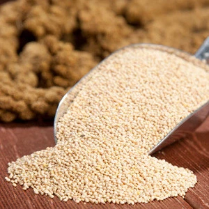White Millet Best Quality