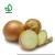 Import white onion seed/onions red/onion buyers from China