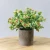 Import wholesale artificial flower pot plant desktop decorative green plant office plant with pot from China