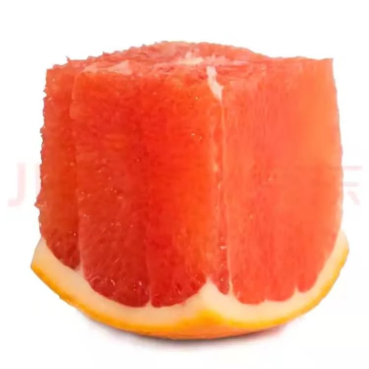 Wholesale High Quality Stocked Fruits Fresh Orange Fruit