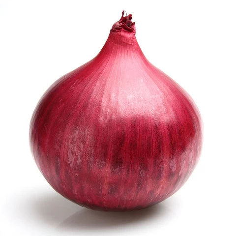 Wholesale onions by onion suppliers on red onion price