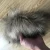 Import Wholesale quality fur accessory Fake/Faux Fur Collar for coat from China
