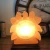 Import Wholesale  sunflower Shaped Pakistan Himalayan Natural Globe Rock Salt Lamp pink rock lamps home decor bedside lamp dimmer from China