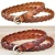 Import women 2cm cowhide bonded leather braided belt women handmade weave belt genuine leather knit belt from China
