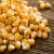 Import yellow corn/maize for animal feed grade from Germany