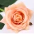 Import Yongnuo flower factory real touch artificial flower dried rose buds from China