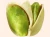 Import Export Quality Pistachios Nuts from Taiwan