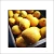 Import Fresh Yellow Lemons from South Africa in Stock from South Africa