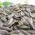 Import high grade sunflower seeds from South Africa