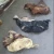 Import Salted Cow Head Skin /Available Wet Salted Donkey Hides/ Cow Hides/Sheep from South Africa
