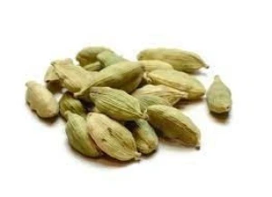 Export-Grade Green Cardamom – Fresh, High-Aroma Pods in Bulk