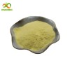 Quercetin Sophora Japonica Extract Powder