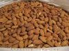 Raw Almonds for sale