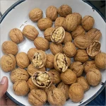 Walnut Kernel Nuts