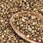 Raw Organic Hemp Seed Natural Hemp Seed Rich In Omega Fatty Acids For Bulk Wholesale Sale Worldwide