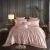 Import Luxury Champagne Silk Satin Bedding Set Duvet Cover Bed Sheet Pillowcases from China