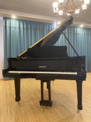 Brand New Mechanical Piano Concert Performance Series Prices Acoustic Grand Piano