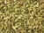 Import Export-Grade Green Cardamom – Fresh, High-Aroma Pods in Bulk from Kenya