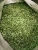 Import Export-Grade Green Cardamom – Fresh, High-Aroma Pods in Bulk from Kenya
