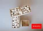 mushroom packaging