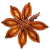 Import Star Anise from Japan