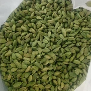 High quality Dried green cardamom