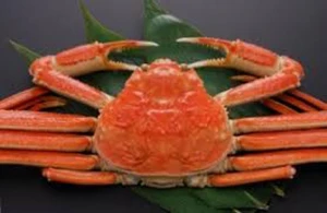 Live Snow Crab For Sale