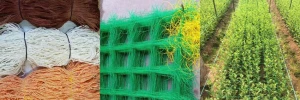 Polyethylene Agricultural net